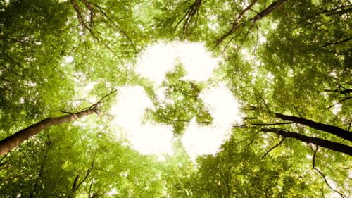 Recycle Symbol Trees hero 500 x 281